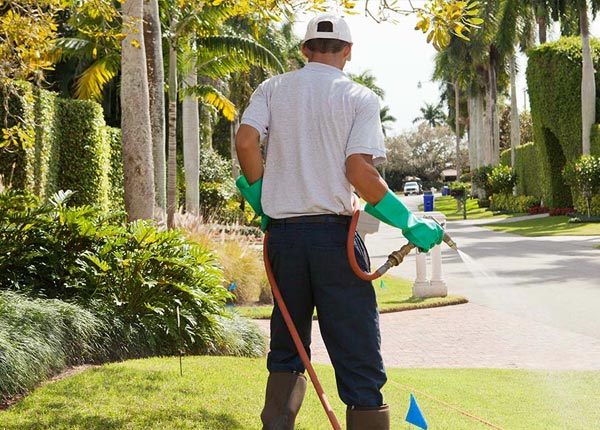 About North Salem NH Pest Control
